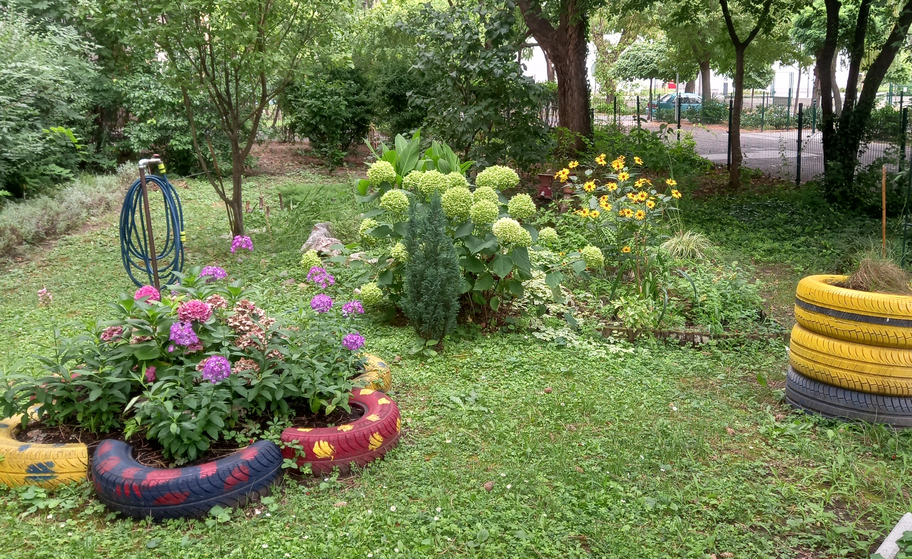 Mini botanikus kertek a kerületben kiemelt képe